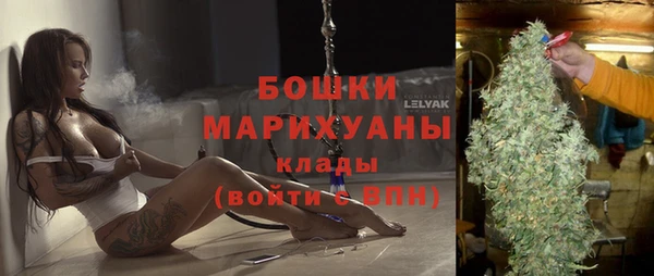 крисы Бородино