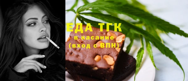 крисы Бородино