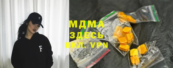 крисы Бородино