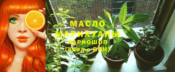 крисы Бородино