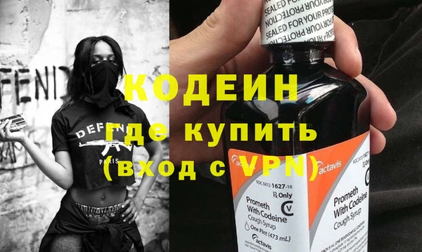 крисы Бородино