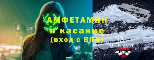 крисы Бородино