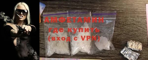 крисы Бородино