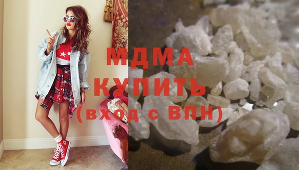 крисы Бородино